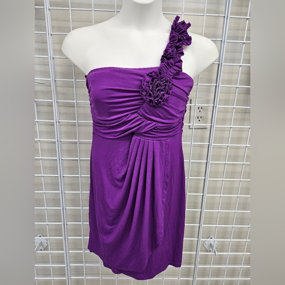 ENFOCUS Studio Dress in Royal Purple sz 14